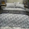 Premium Dior Bedding Set - DN9050274