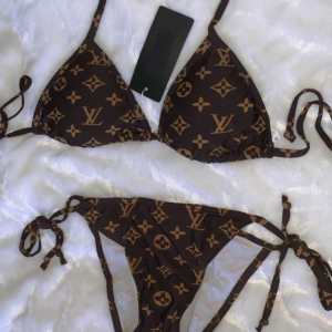 LV Pink Bikini 2 Pc Set DN26110507