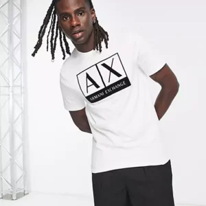 Limited Edition 2024 Armani Unisex T-Shirt DN9060449