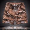 New Arrival LV  All Over Print LV Shorts Pants For Men Hot 2026 HH03861