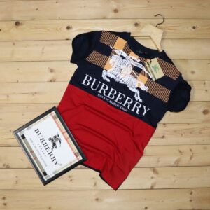 Limited Edition Burberry T Shirts - HC-TX-Max4924