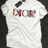 Limited Edition Dior Unisex T-Shirt for men DN26060637